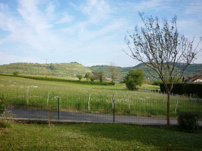 Saint-Christophe-Vallon (12330)
