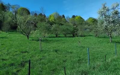 Villers-Lès-Nancy (54600)