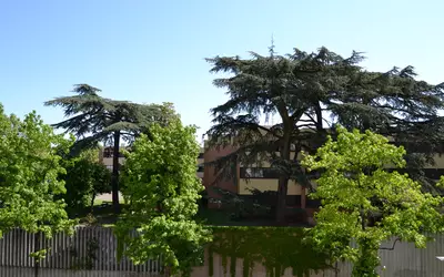 Villeurbanne (69100)