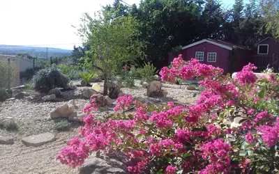Sernhac (30210)
