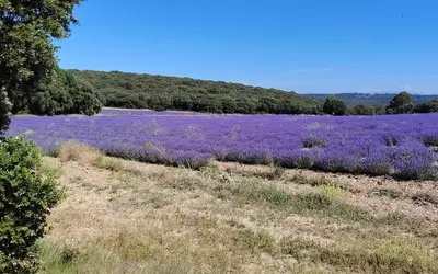 Montagnac-Montpezat (04500)