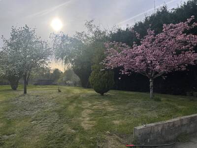 Location maison 5 pièces Langeais (37130)