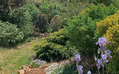 La Boissière (34150)