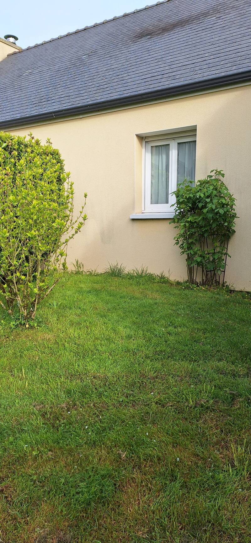 Saint-Gildas-Des-Bois (44530)