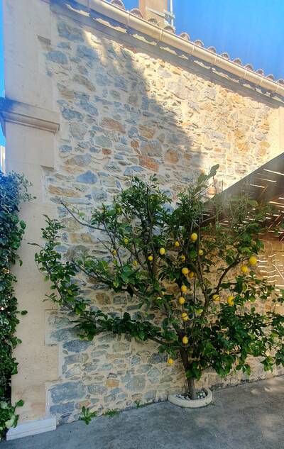 Vente maison 9 pièces Canet (11200)