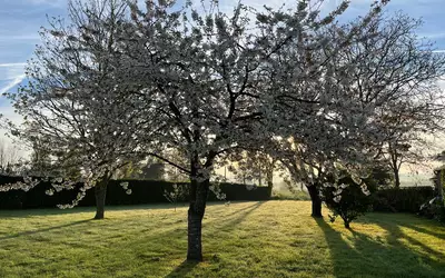 Plancoët (22130)