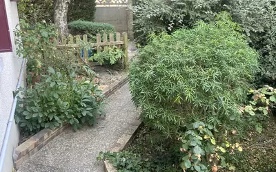 Rosny-Sous-Bois (93110)
