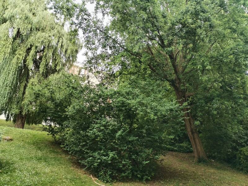 Le Raincy (93340)