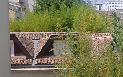 Bordeaux (33000)