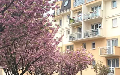 Savigny-Sur-Orge (91600)