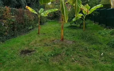 Les Clayes-Sous-Bois (78340)