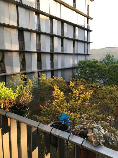 Location appartement 2 pièces Montreuil (93100)