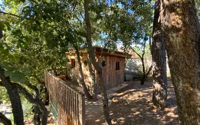 Vidauban (83550)