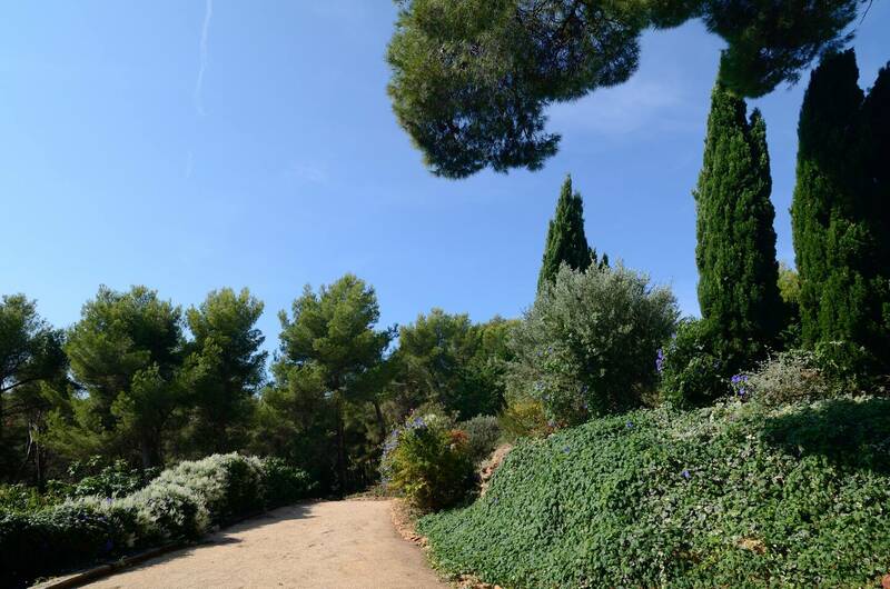 Saint-Cyr-Sur-Mer (83270)