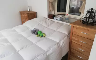 Perpignan (66000)