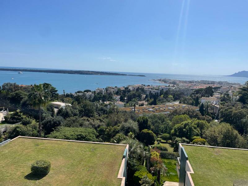 Cannes (06150)