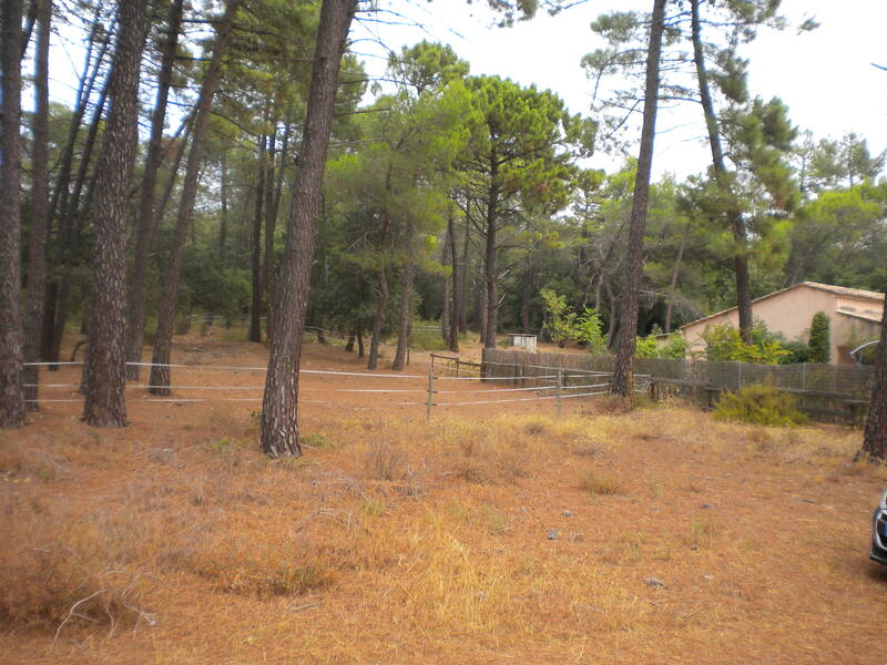 Mornas (84550)