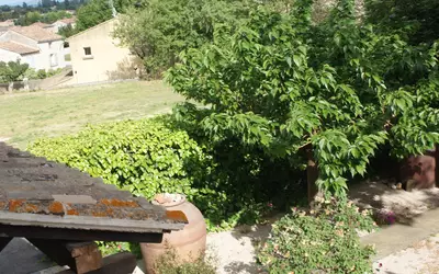 Vedène (84270)