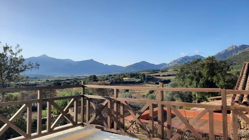 Calvi (20260)