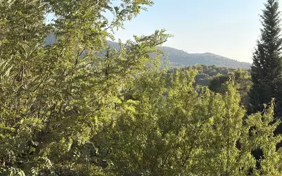 Vauvenargues (13126)