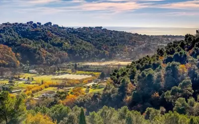 Vence (06140)
