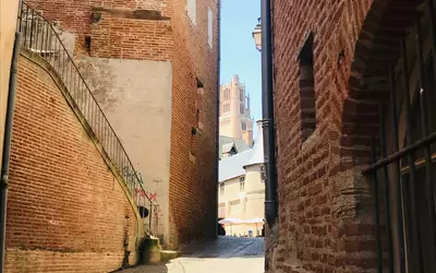 Albi (81000)