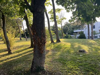 Location appartement studio Rueil-Malmaison (92500)