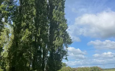 A Rénover Avec Permis