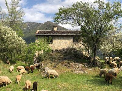Vente maison 3 pièces Saorge (06540)