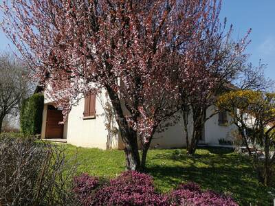 Vente maison 6 pièces Exincourt (25400)