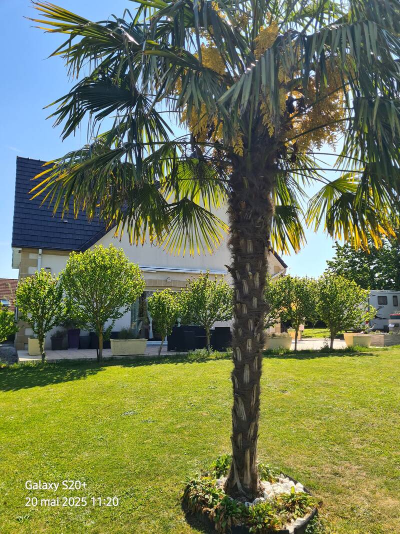 Bettencourt-Saint-Ouen (80610)