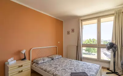 Montpellier (34000)