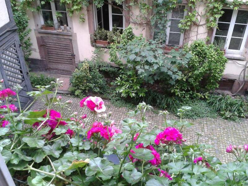 Strasbourg (67000)