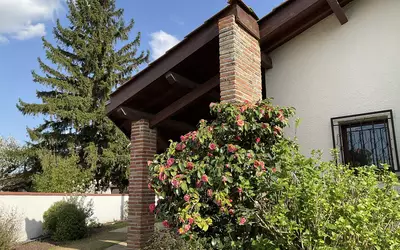 Cugnaux Avec Piscine