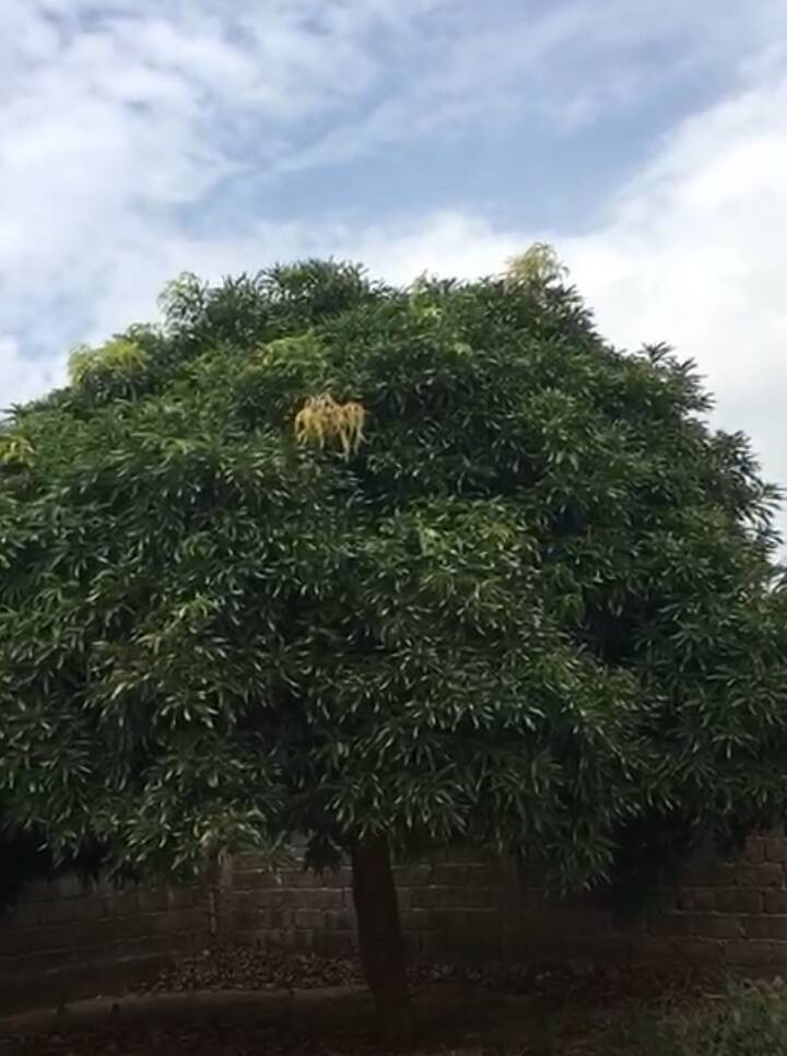 Sénégal