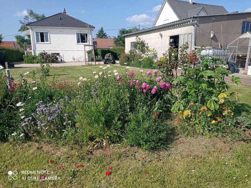Loury (45470)