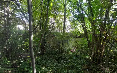 Chelles (77500)
