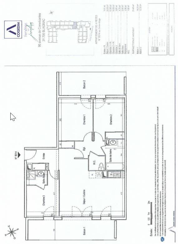 Blagnac (31700)