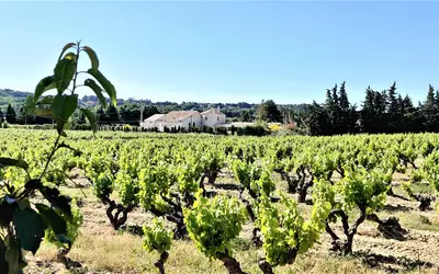 Rochefort-Du-Gard (30650)