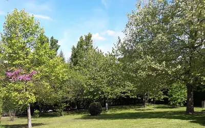 Aubergenville (78410)
