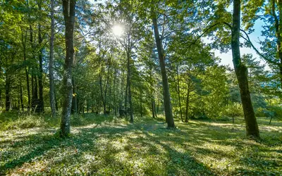 Rembercourt-Sur-Mad (54470)