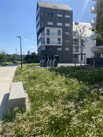 Vente appartement 3 pièces Saint-Malo (35400)