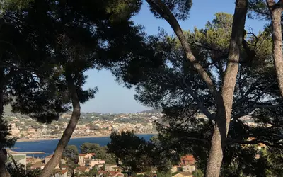 Sanary-Sur-Mer (83110)