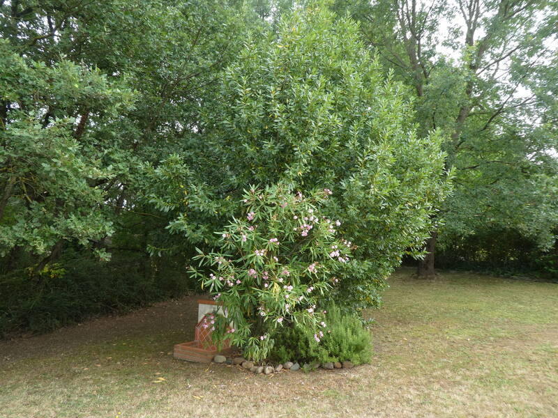 Eaunes (31600)
