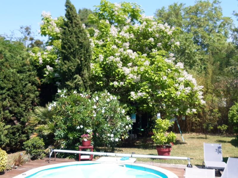 Pessac (33600)