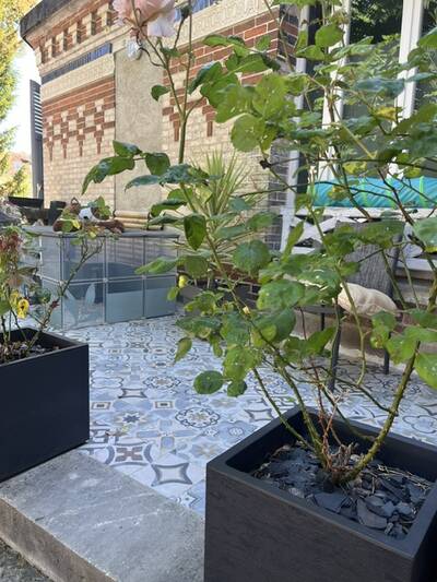 Location appartement 2 pièces Sens (89100)