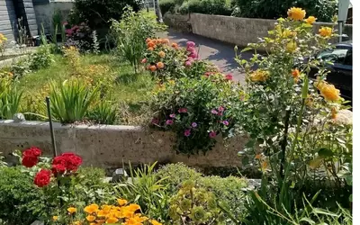 Trédarzec (22220)