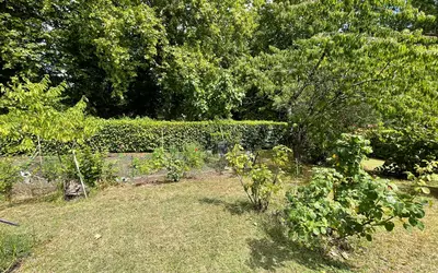 Blanquefort (33290)