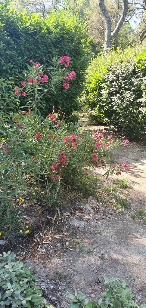 10 Mn Aix-En-Provence, A Calas-Cabries