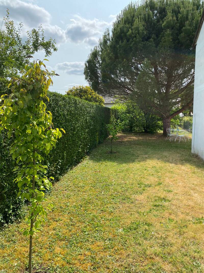 Amboise (37400)